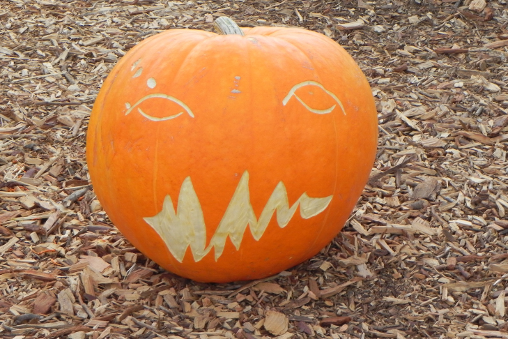 Pumpkin Carving Idea Grrr